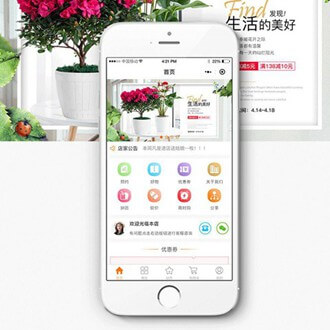 武隆门店微商城小程序开发