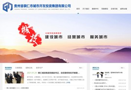 武隆城市开发投资集团有限公司