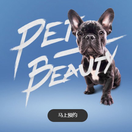 武隆宠物中心小程序开发