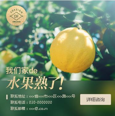 武隆果园果林小程序开发